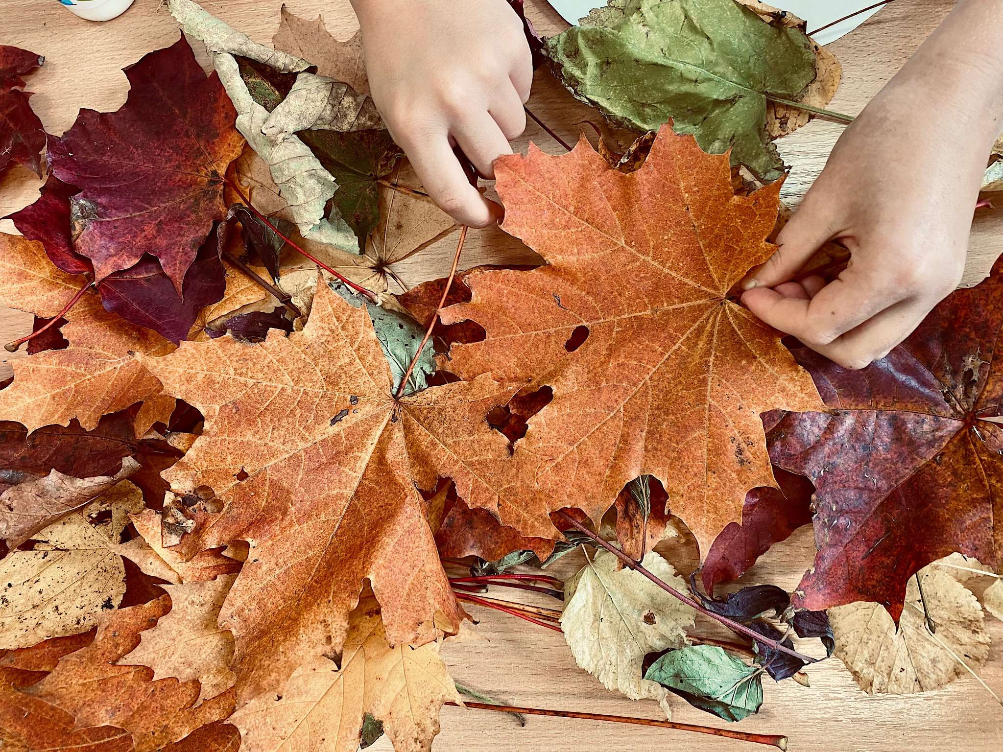 Jesienny liść…trochę nam „opowiedział” o kolorach zwłaszcza!