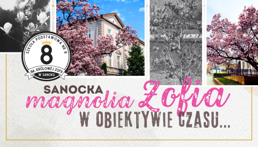 Sanocka MAGNOLIA „ZOFIA” w obiektywnie czasu…