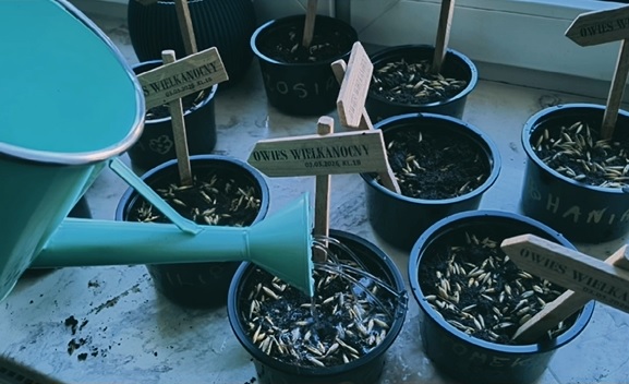 Mali ogrodnicy z klasy 1B w akcji!