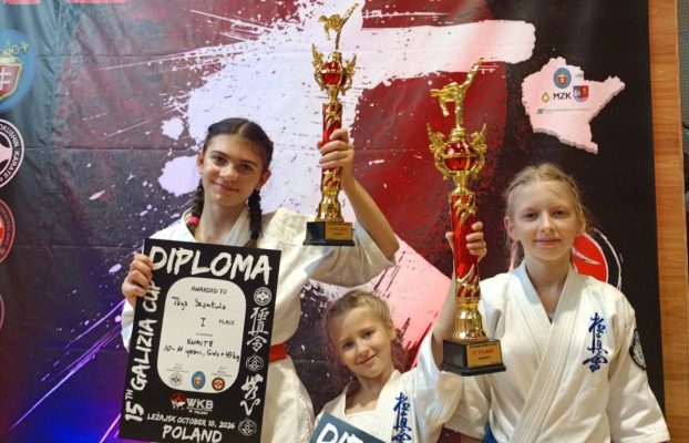 ZŁOTE MEDALE W KARATE!